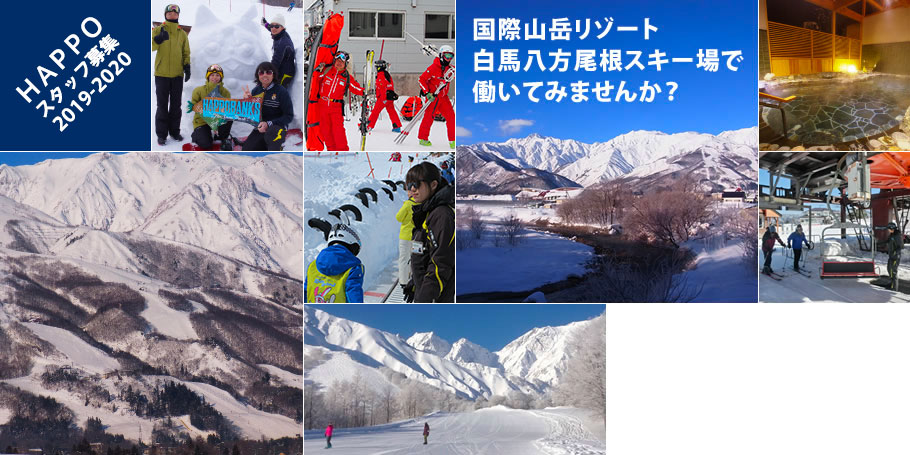 HAPPO スタッフ募集 2019-2020