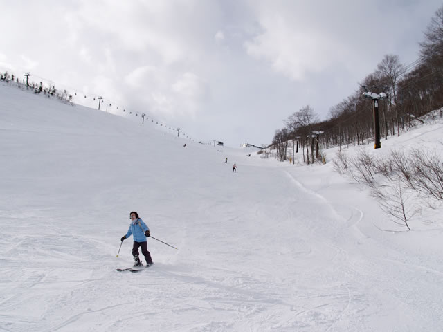 スカイラインコース