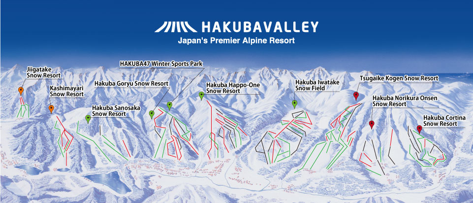 お値下げバラ売り不可です1DAY LIFT PASS TSUGAIKE MOUNTAIN RESORT