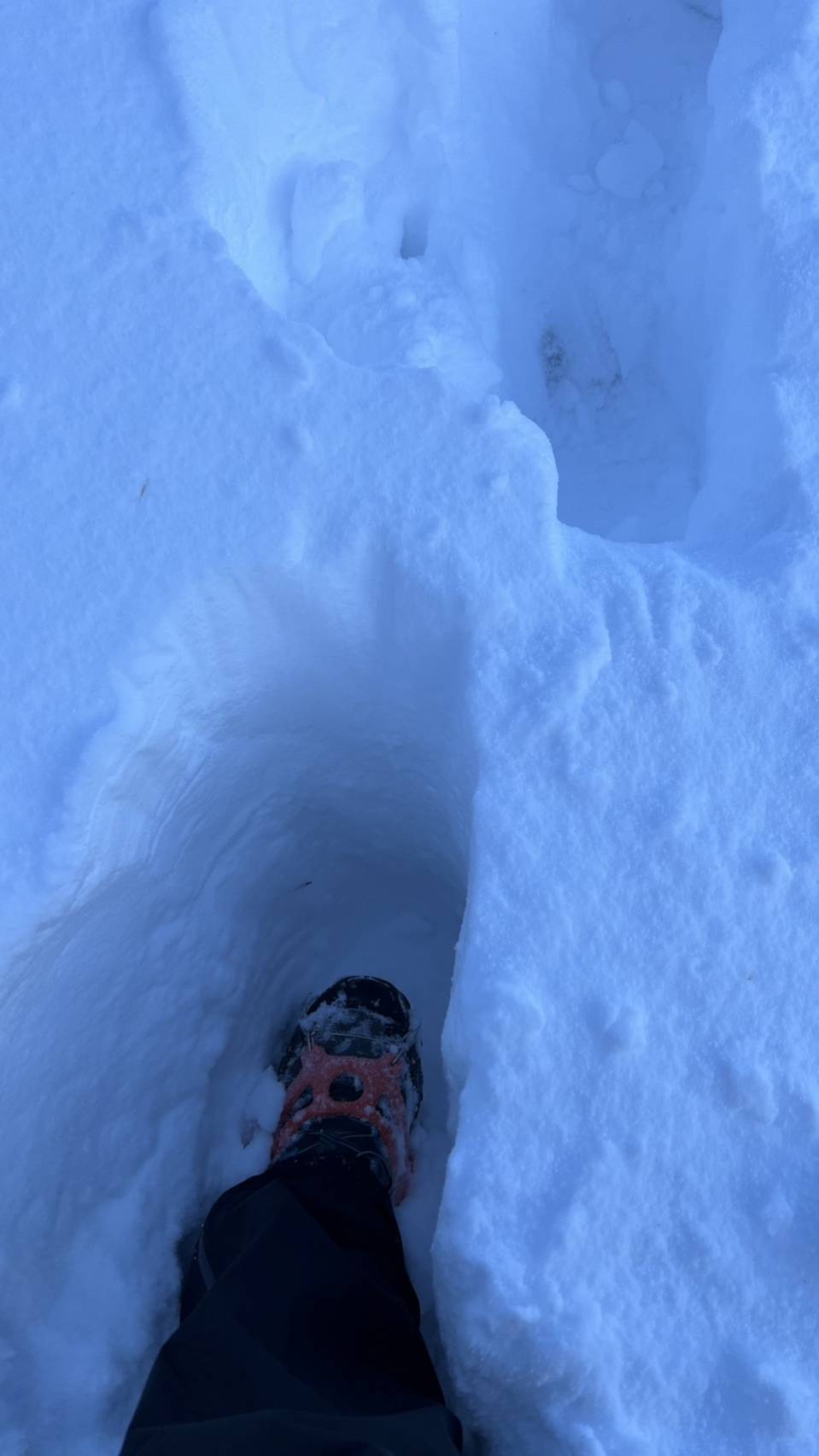 雪ノ下　確認用 133662.jpg